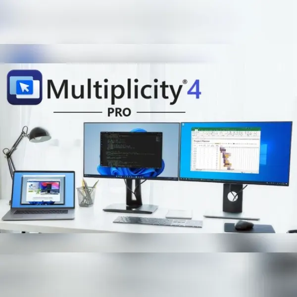 Multiplicity — Steam, Standard