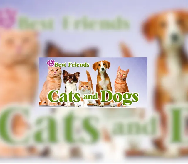 My Best Friends - Cats & Dogs — Steam, Standard