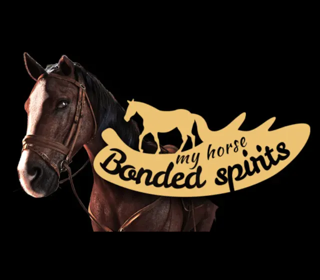 My Horse: Bonded Spirits — Steam, Standard