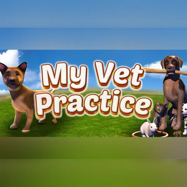 My Vet Practice — Steam, Standard