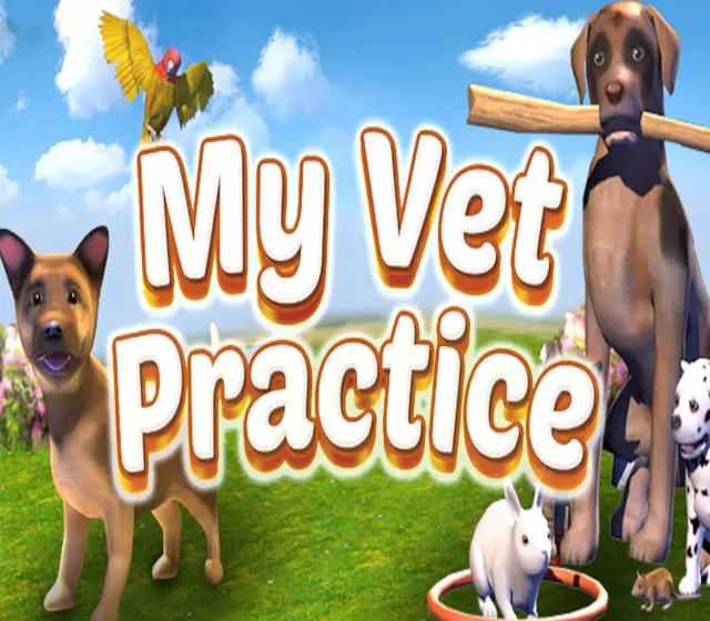 My Vet Practice — Steam, Standard