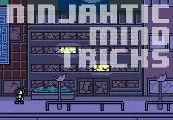 Ninjahtic Mind Tricks — Steam, Standard