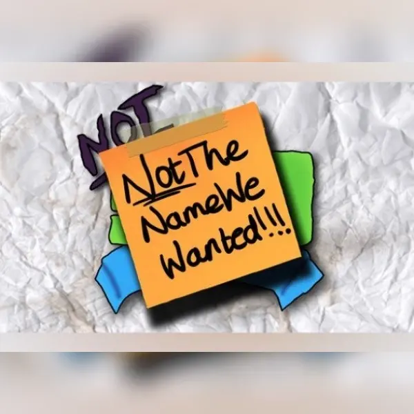 NotTheNameWeWanted — Steam, Standard