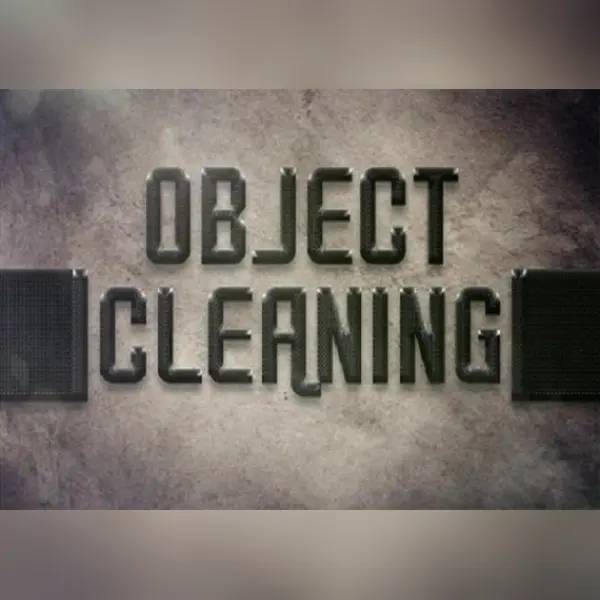 Object "Cleaning" — Steam, Standard