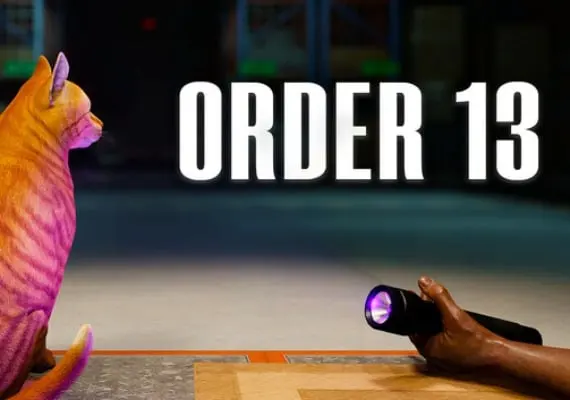 Order 13 EN/DE/FR/JA/KO/PT/RU/ZH — Steam, Standard