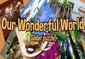 Our Wonderful World — Steam, Standard