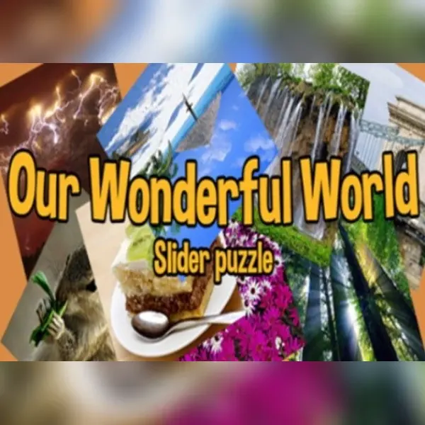 Our Wonderful World — Steam, Standard