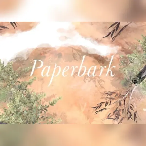 Paperbark — Steam, Standard
