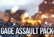 PAYDAY 2: Gage Assault Pack — Steam, Standard