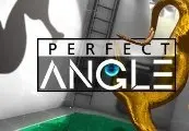 Perfect Angle — Steam, Standard