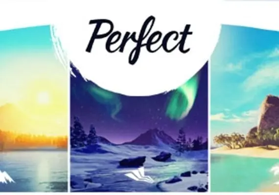 Perfect EU — Steam, Standard