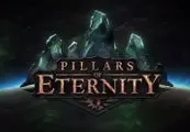 Pillars of Eternity Hero Edition — Steam, Standard