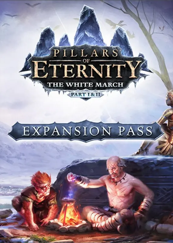 Pillars of Eternity: The White March - Expansion Pass (DLC) — Steam, Standard