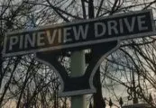 Pineview Drive — Steam, Standard