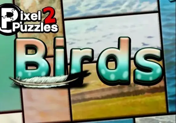 Pixel Puzzles 2: Birds EN — Steam, Standard
