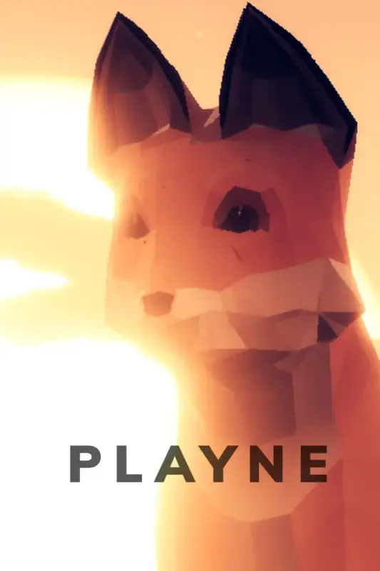 PLAYNE The Meditation Game — Steam, Standard