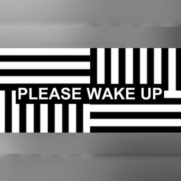 Please Wake Up — Steam, Standard