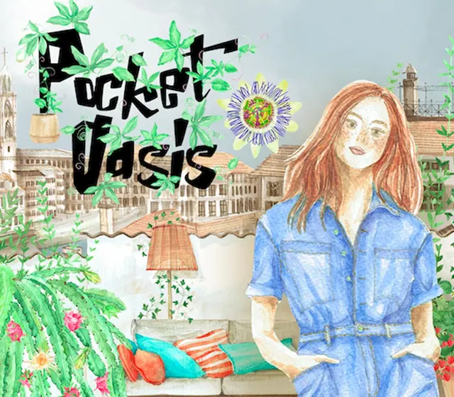 Pocket Oasis — Steam, Standard
