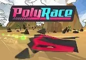 PolyRace — Steam, Standard