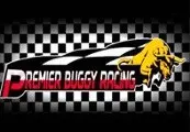 Premier Buggy Racing Tour — Steam, Standard