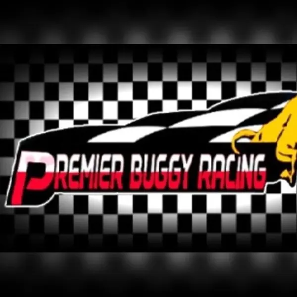 Premier Buggy Racing Tour — Steam, Standard