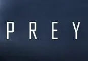 Prey — Steam, Standard