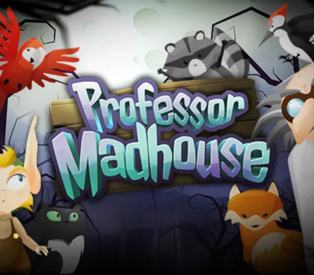 Professor Madhouse — Steam, Standard