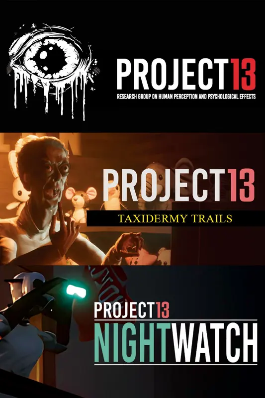 Project 13 Bundle — Xbox Live, Standard
