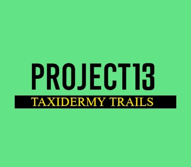 Project 13: Taxidermy Trails — Steam, Standard