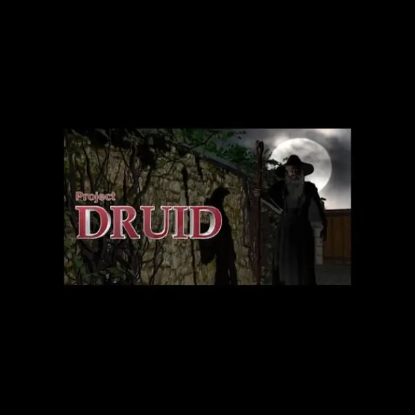 Project Druid — Steam, Standard