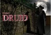 Project Druid - 2D Labyrinth Explorer- — Steam, Standard