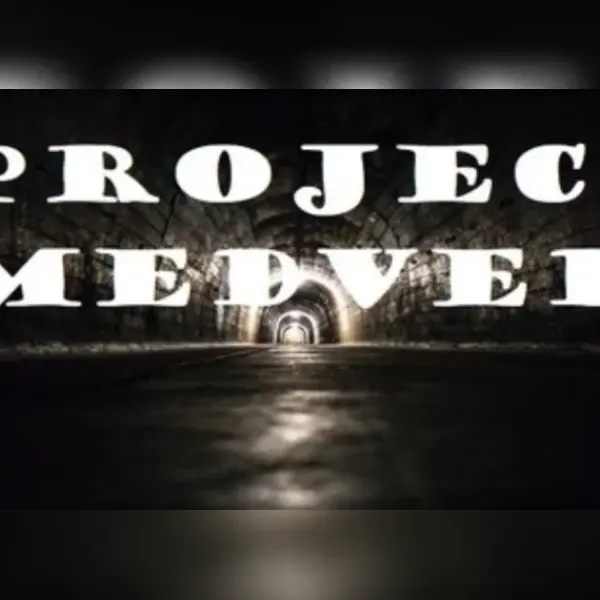 Project Medved — Steam, Standard