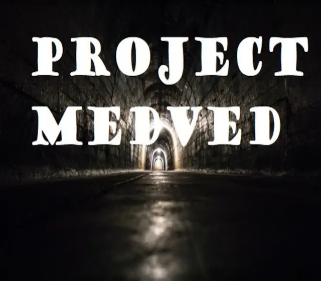 Project Medved — Steam, Standard