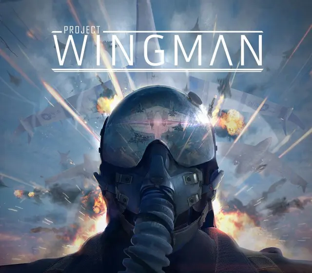 Project Wingman — Steam, Standard