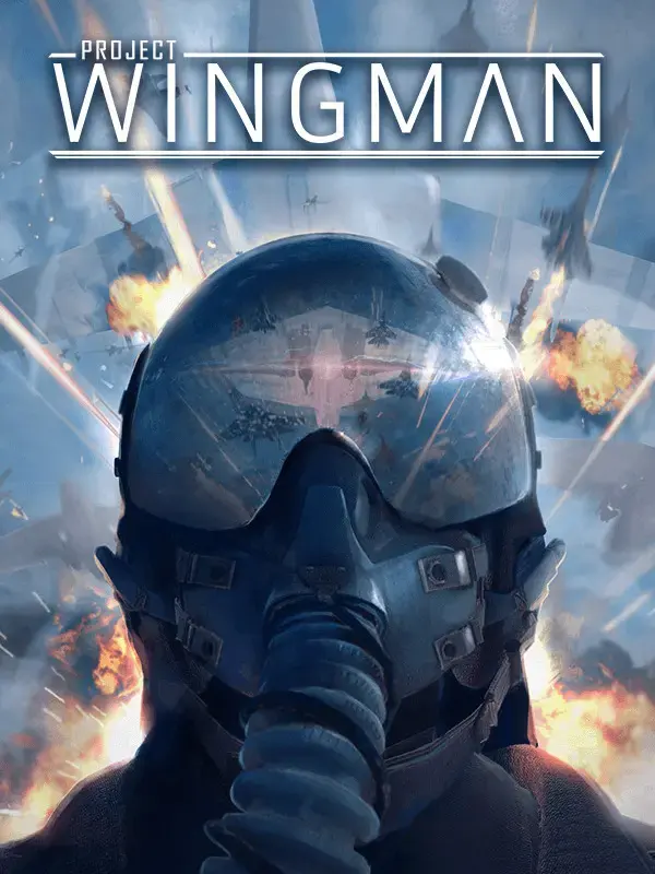 Project Wingman — Steam, Standard