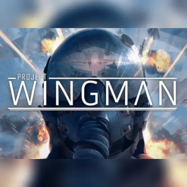 Project Wingman — Steam, Standard
