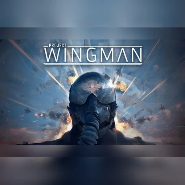 Project Wingman — Steam, Standard