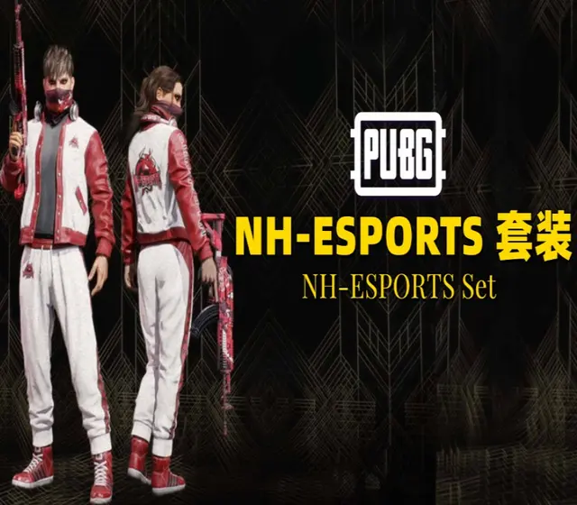 PUBG - NH-ESPORTS Set DLC Digital — Steam, Standard