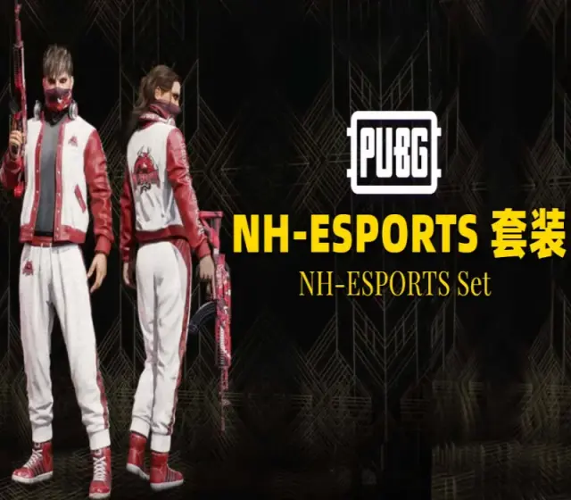 Jaquette de PUBG - NH-ESPORTS Set DLC Digital — DLC PC (Steam)