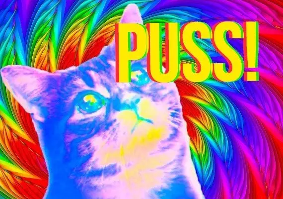 Puss! EN/DE/FR/PL/JA/PT/RU/UK — Steam, Standard