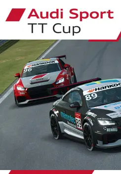 RaceRoom - Audi Sport TT Cup 2015 (DLC) — Steam, Standard