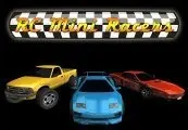 RC Mini Racers — Steam, Standard
