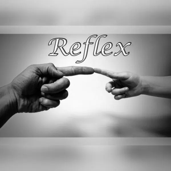 Reflex (2017) — Steam, Standard