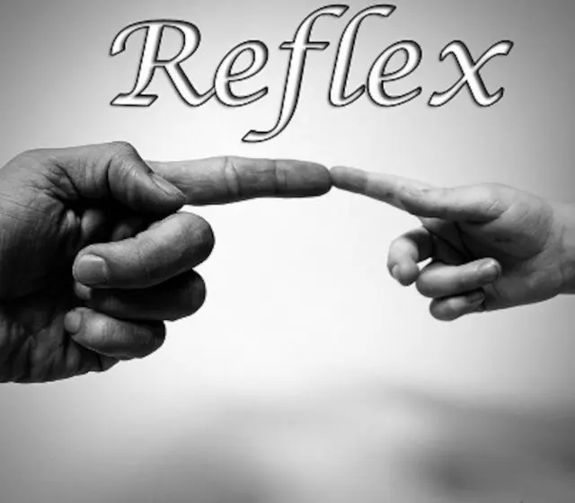 Reflex — Steam, Standard