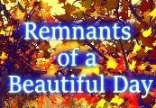 Remnants of a Beautiful Day — Steam, Standard