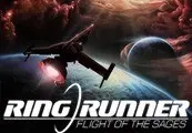 Ring Runner: Flight of the Sages — Steam, Standard
