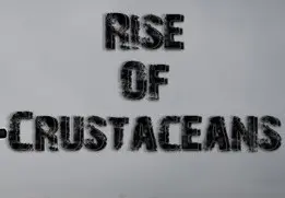 Rise of Crustaceans — Steam, Standard