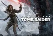 Rise of the Tomb Raider — Steam, Standard