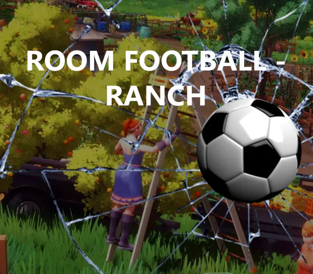ROOM FOOTBALL: Ranch — Steam, Standard