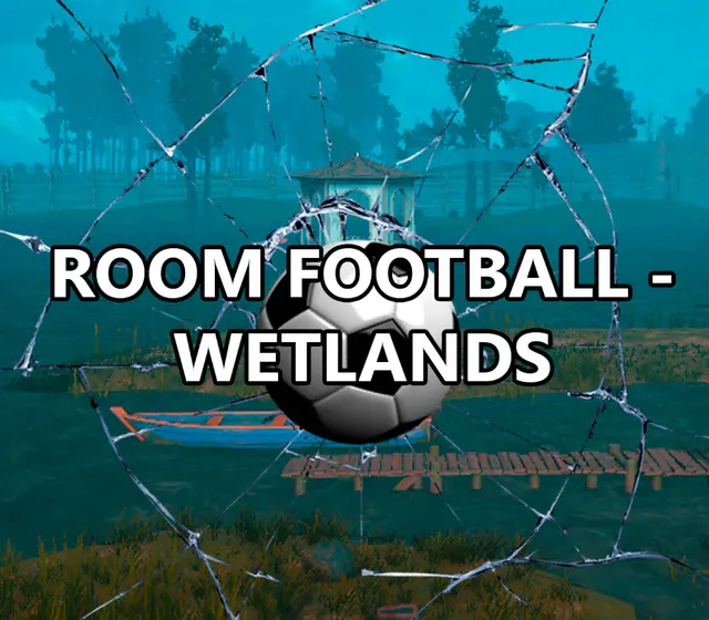 ROOM FOOTBALL: Wetlands — Steam, Standard